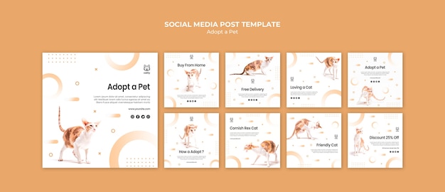 PSD gratuit collection de publications instagram pour l'adoption d'un animal de compagnie