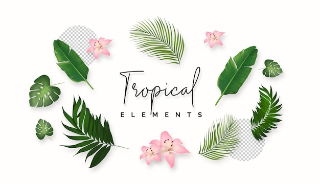 PSD gratuit concept floral réaliste de plantes tropicales