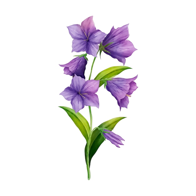 PSD gratuit conception de fleurs botaniques