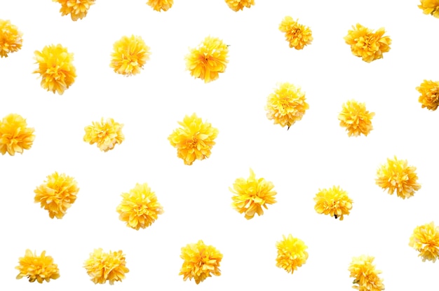 PSD gratuit dessin de motif floral isolé