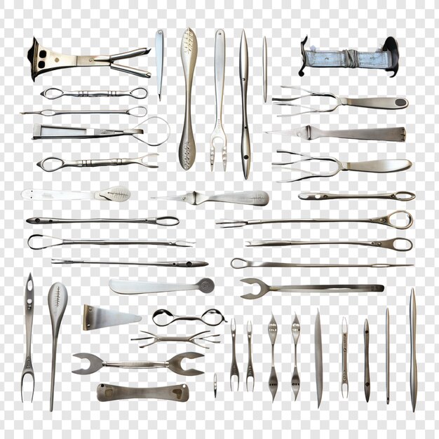 Dissection Isolée Sur Fond Transparent