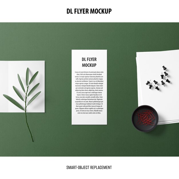 Dl Flyer Mockup