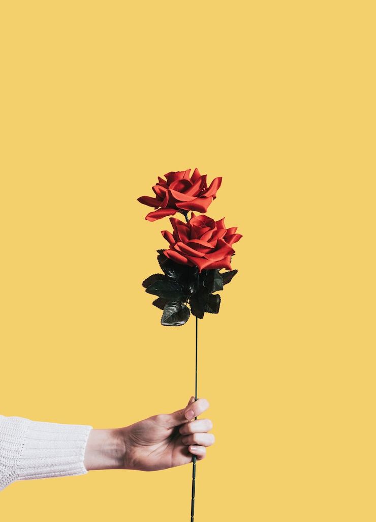 PSD gratuit donner une rose pour la saint valentin
