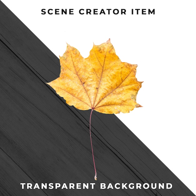 Feuille de bois transparente PSD
