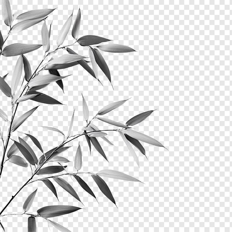 PSD gratuit des feuilles de bambou élégantes et monochromes