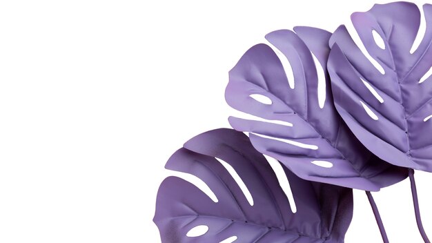 Des feuilles colorées, une vie morte.