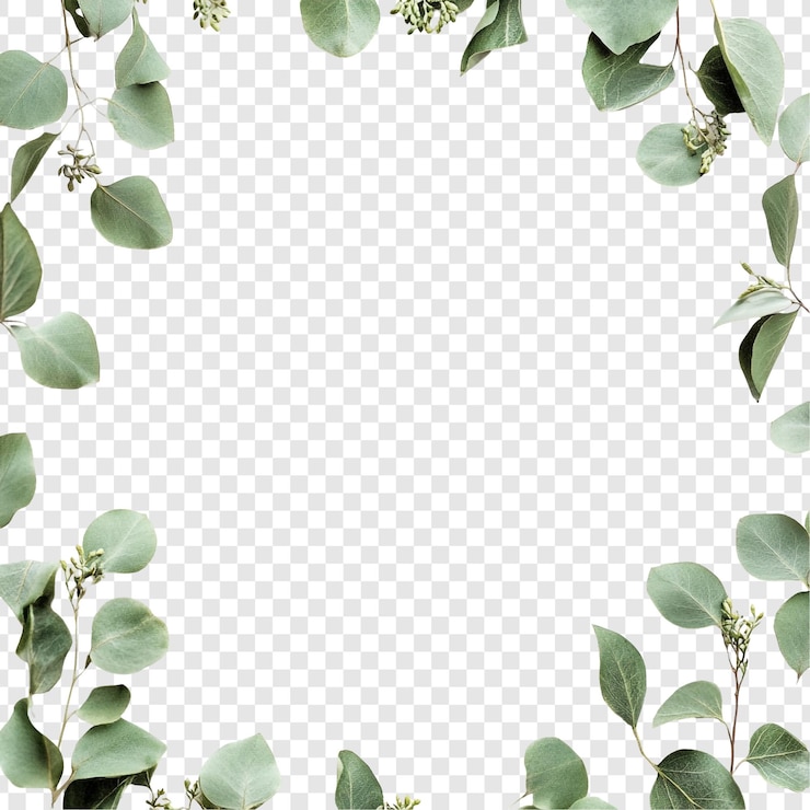 PSD gratuit des feuilles d'eucalyptus élégantes encadrent une bordure botanique