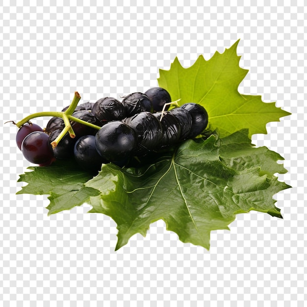 PSD gratuit feuilles de raisin isolées sur un fond transparent