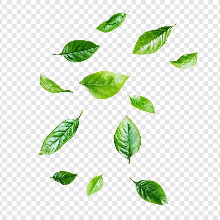 PSD gratuit les feuilles vertes qui tombent la nature danse avec grâce