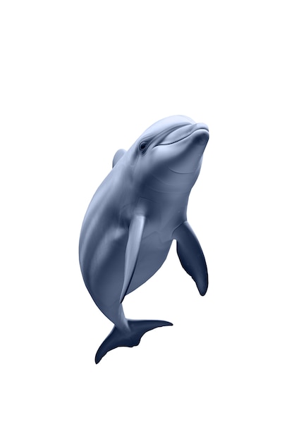 PSD gratuit figure isolée de dauphin