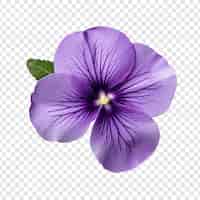 PSD gratuit fleur violette isolée sur fond transparent