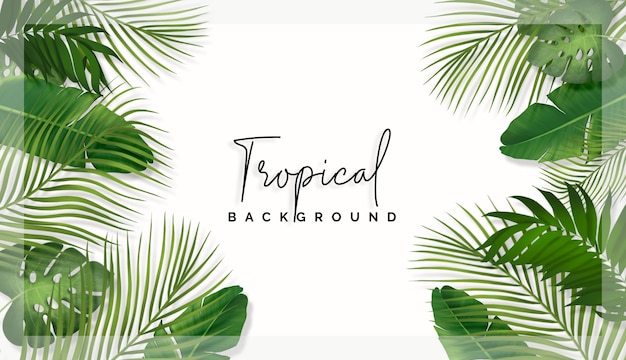 PSD gratuit fond de belles feuilles tropicales