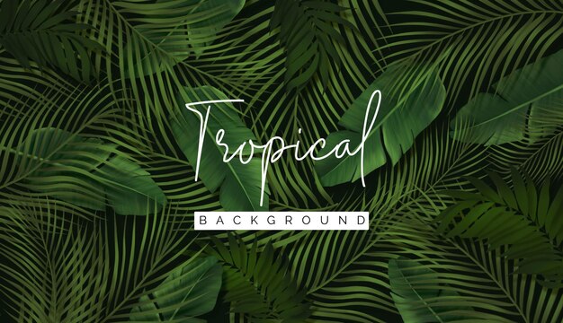 Fond de feuillage tropical