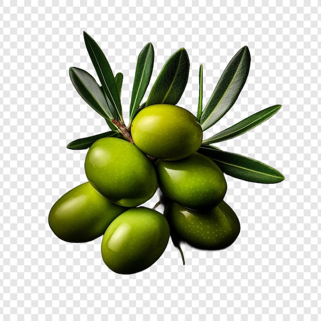 PSD gratuit fruit d'olive isolé sur fond transparent