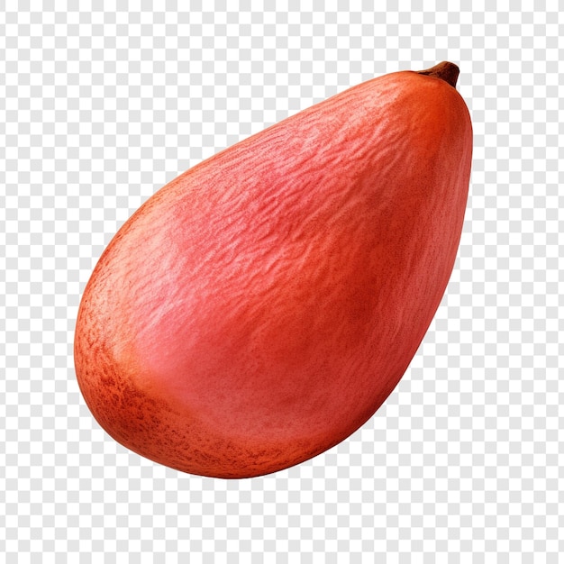 PSD gratuit fruits isolés de mamey sur fond transparent