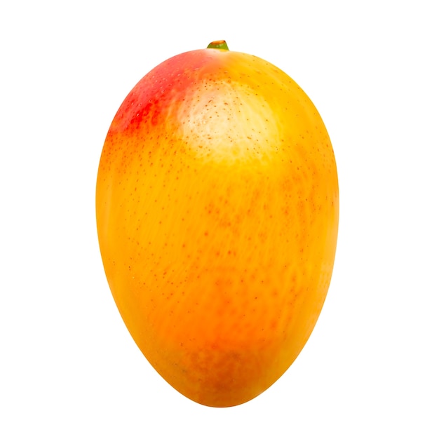 Fruits de mangue isolés