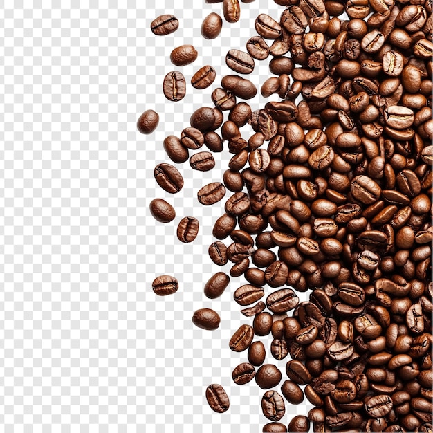 Des grains de café torréfiés aromatiques et riches