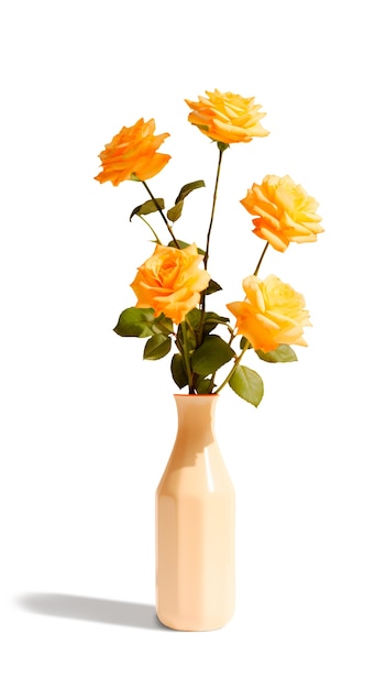 Gros plan sur des roses isolées