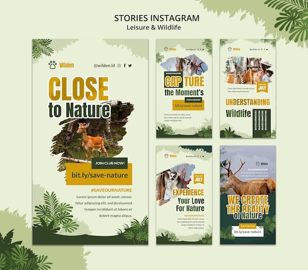 PSD gratuit histoires instagram sur les loisirs et la faune