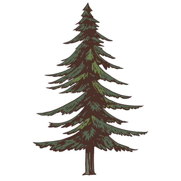 Illustration d'arbre dessinée à la main isolée