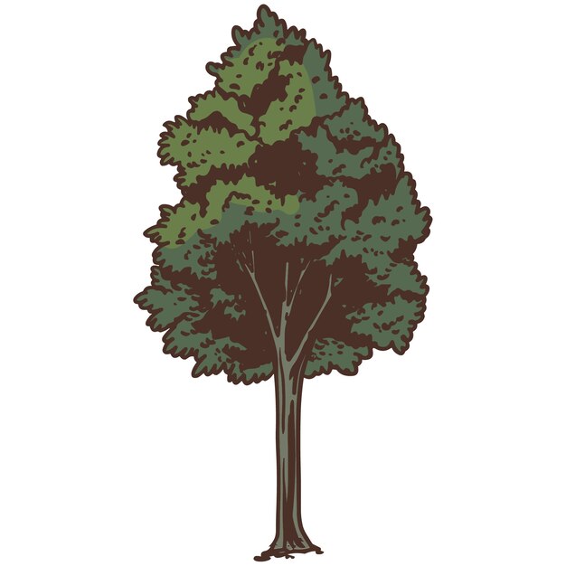 Illustration d'arbre dessinée à la main isolée