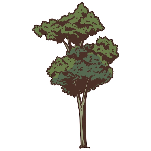Illustration d'arbre dessinée à la main isolée