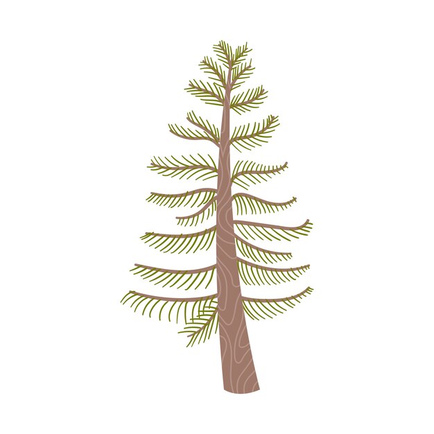 Illustration des arbres isolés