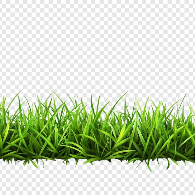 L'illustration de la frontière de l'herbe verte vibrante