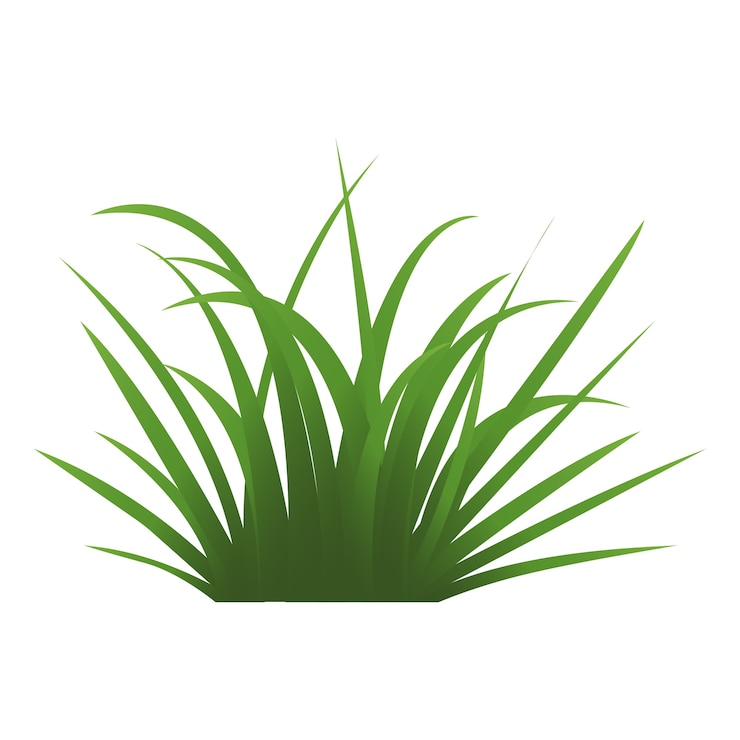 PSD gratuit illustration de l'herbe isolée