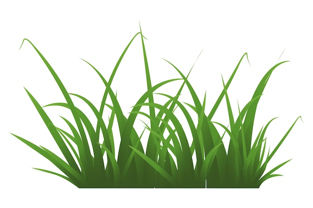 Illustration de l'herbe isolée