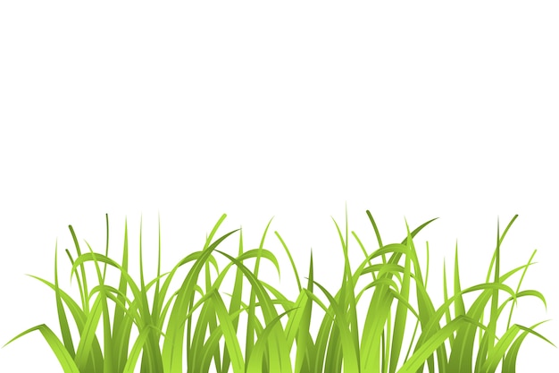 Illustration de l'herbe isolée