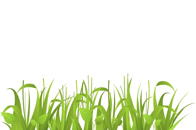Illustration de l'herbe isolée