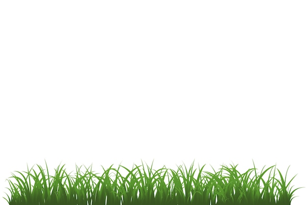 Illustration de l'herbe isolée