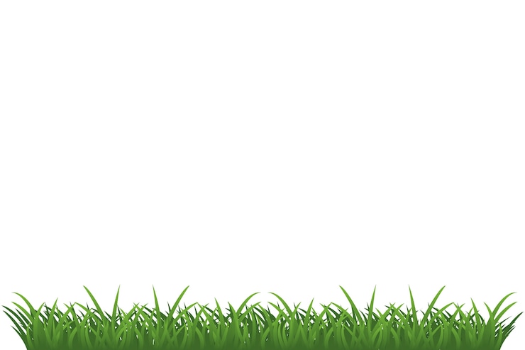 PSD gratuit illustration de l'herbe isolée