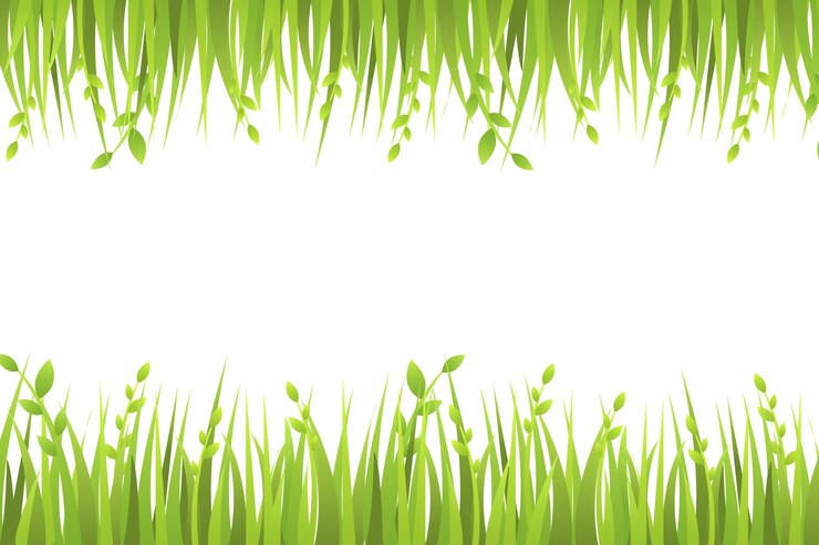 PSD gratuit illustration de l'herbe isolée