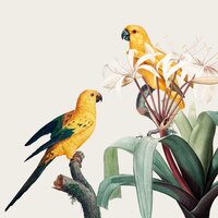 Illustration de macaw tropical