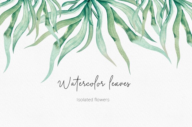 Une invitation de mariage florale élégante