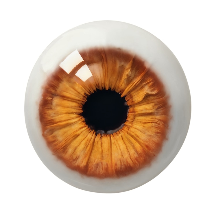 PSD gratuit iris de l'œil isolé