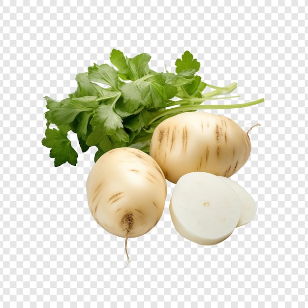 PSD gratuit jicama isolé sur fond transparent