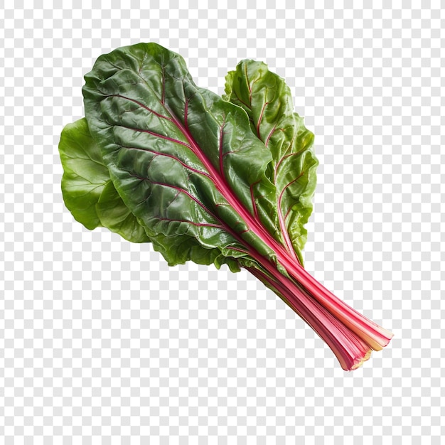 PSD gratuit légume de bette à carde frais png isolé sur fond transparent