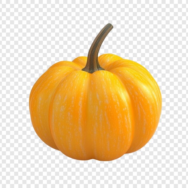 Les légumes de la récolte d'automne de la petite citrouille orange