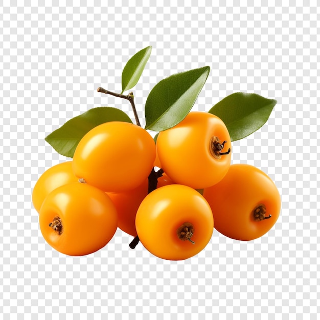 PSD gratuit loquat isolé sur un fond transparent