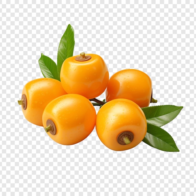 PSD gratuit loquat isolé sur un fond transparent