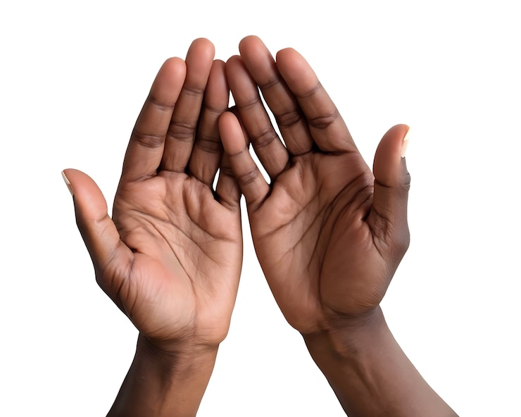 PSD gratuit des mains noires ouvertes isolées