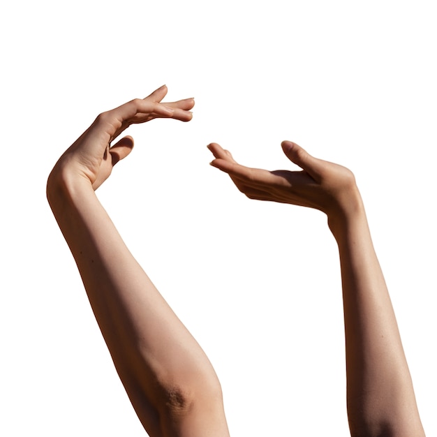 Les mains sensibles sont isolées.