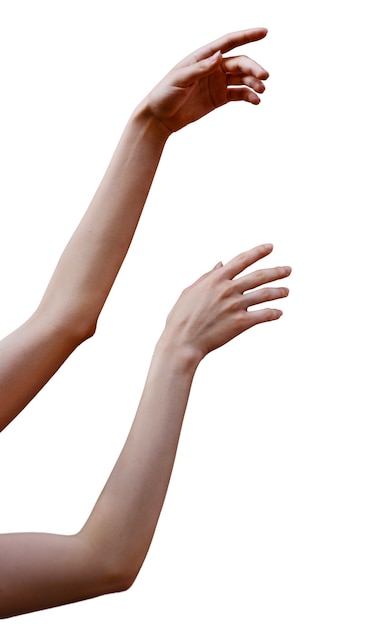 Les mains sensibles sont isolées.