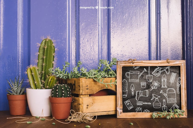 PSD gratuit maquillage de jardinage avec trois cactus et ardoises