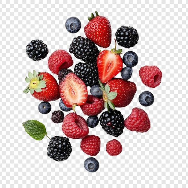 Un mélange vibrant de baies fraîches de fraises de framboises de mûres et de bleuets