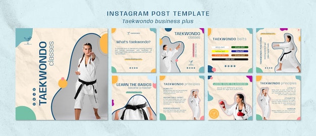 Messages Instagram Sur La Pratique Du Taekwondo