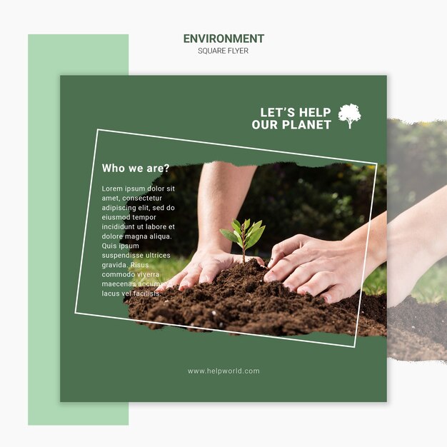 Modèle d'affiche carrée de plantation de nouveaux plants
